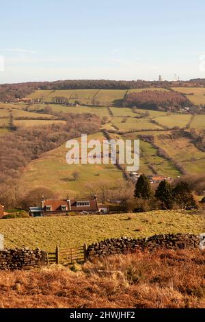 La campagna di Goathland nel cuore del North York Moors National Park, Yorkshire, Regno Unito Foto Stock