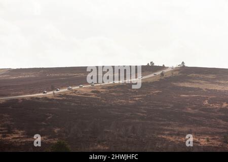 La campagna di Goathland nel cuore del North York Moors National Park, Yorkshire, Regno Unito Foto Stock