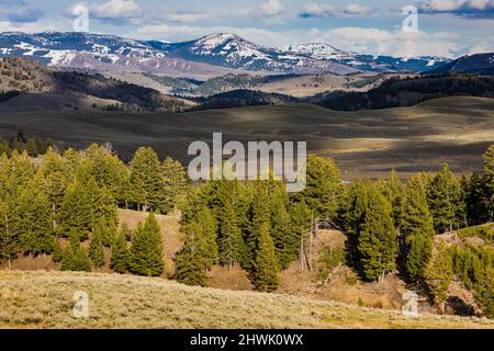 Colline e montagne spettacolari del nord-est del parco nazionale di Yellowstone, Wyoming, USA Foto Stock