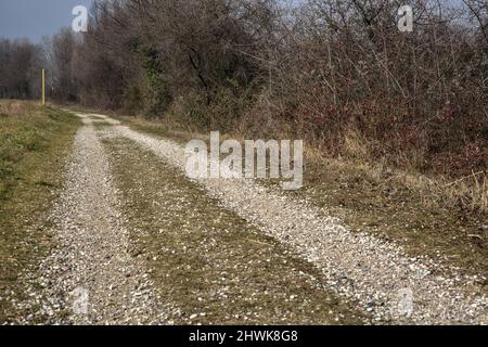 Sentiero sterrato in un parco in una giornata nuvolosa Foto Stock