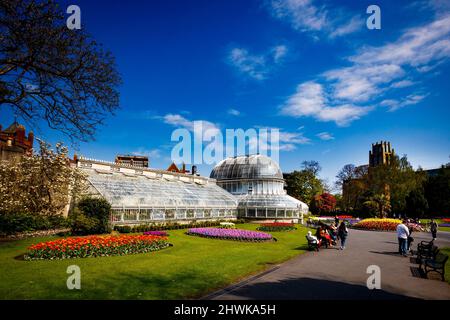La Charles Lanyon Palm House, i Giardini Botanici, Belfast, Irlanda del Nord Foto Stock