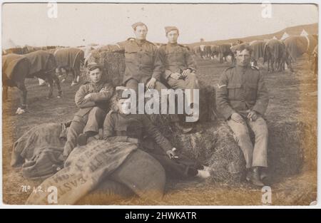 Fotografia informale di un gruppo di soldati dell'esercito territoriale seduti su balle di fieno in un campo dell'esercito vicino a Newcastle su Tyne, 1906. File di cavalli coperti da coperte e campanili possono essere visti nel campo sullo sfondo. Un mucchio di sacchi North Eastern Railway Company sono in primo piano Foto Stock