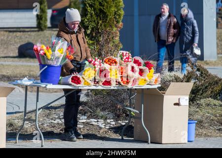 MINSK, BIELORUSSIA - 05 MARZO 2022: Una donna vende fiori (tulipani) per strada. La festa internazionale della donna è il 8 marzo. Foto Stock