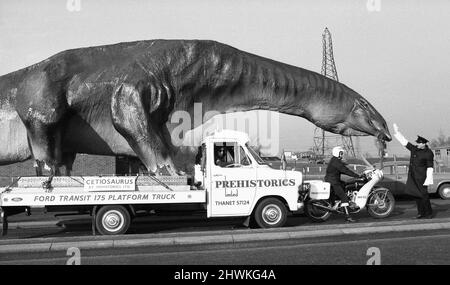 Un dinosauro in movimento in Essex. Un Cetiosaurus alto 16 metri e lungo 45 metri, una specie di dinosauro, di Alan Ross, ha lasciato Ramsgate questa mattina sulla strada per Aviemore, Scozia, attraverso il tunnel di Dartford. Il modello rimarrà per due o tre settimane a Canvey, mentre altri mostri preistorici realizzati da Ross si uniranno ad esso prima di procedere in Scozia, dove il signor Ross sta aprendo un parco preistorico. Il Cetiosaurus visto qui sul lato Kent del tunnel di Dartford è tenuto da un ufficiale di controllo del traffico prima di essere scortato attraverso il tunnel. 31st gennaio 1973 Foto Stock