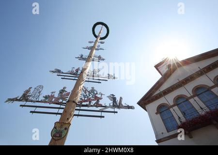 Maypole e municipio in controluce, sulla piazza del mercato di Seligenstadt, Assia, Germania Foto Stock