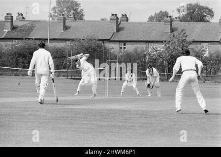 Standard v Alvis, Works League Cricket Match al campo di cricket standard. Corsia conciatori. Collina della piastrella, Coventry, Sabato 1st Luglio 1972. I nostri spettacoli di foto ... L'assolcatore standard Ken Brown guida una palla da Alvis Bowler Compton. Foto Stock