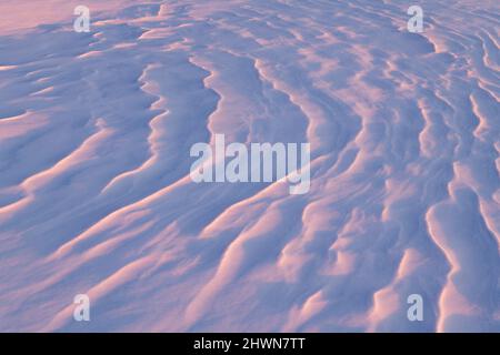 Disegni scolpiti dal vento nella neve, America del Nord, di Dominique Braud/Dembinsky Photo Assoc Foto Stock