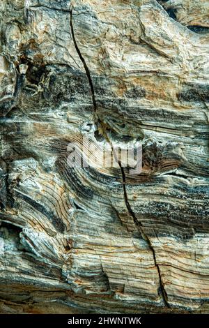 Vista ravvicinata di una spaccatura in un pezzo di legno pietrificato Foto Stock