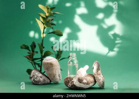 Primo piano della bottiglia di vetro trasparente aperta di cosmetici su sfondo verde con foglie. Spazio di copia. Concetto di prodotti di bellezza vegetali biologici. Foto Stock