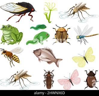 Diversi tipi di insetti e animali su sfondo bianco illustrazione Illustrazione Vettoriale