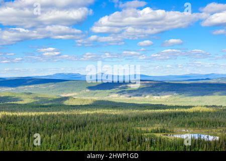 Vista aerea del paesaggio nella natura selvaggia in Svezia Foto Stock