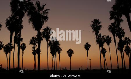 Cielo arancione e viola, silhouette di palme sulla spiaggia al tramonto, costa californiana, USA. Parco fronte spiaggia al tramonto a San Diego, Mission Beach. Persone che camminano e uccelli che volano al crepuscolo della sera. Foto Stock