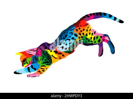 Astratto gatto bengala che gioca da pitture multicolore. Disegno colorato. Illustrazione vettoriale di vernici Illustrazione Vettoriale