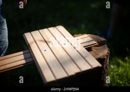 Asse con due chiodi guidati in esso. Asse alla luce del sole. Costruzione di casa in legno. Doghe con asole per l'inserimento del modello. Foto Stock