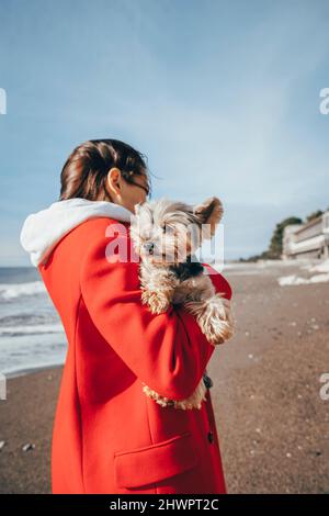 Giovane donna con il terrier dello Yorkshire in spiaggia Foto Stock