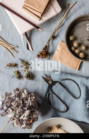 Scatto dello studio del tampone della nota, della matita, delle forbici ed alcuni semi e dei fiori secchi Foto Stock