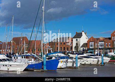 Barche da diporto ormeggiate nel porto turistico, Hull, Humberside, East Yorkshire, Inghilterra Regno Unito Foto Stock