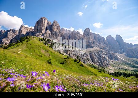 Italia, Alto Adige, veduta panoramica del Gruppo Sella nel Passo Gardena durante l'estate Foto Stock