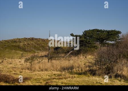 Callantsoog, Olanda, febbraio 2022. Il paesaggio delle dune della riserva naturale di Zwanenwater a Callantsoog. Foto di alta qualità Foto Stock