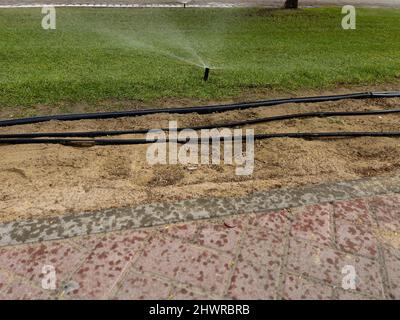 Irrigatore automatico del giardino che innaffia il prato. Tecnologia di irrigazione giardino o cortile. Foto Stock