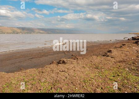 Vista panoramica sul lago Olbososat a Nyahururu, Kenya Foto Stock