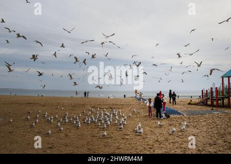 I residenti di Brighton Beach si riuniscono per un Rally pro Ucraina al Riegelmann Boardwalk e Brighton 6th. Molti indossano i colori giallo e blu della bandiera Ucraina per mostrare supporto. Le più grandi comunità ucraine-americane di New York City si trovano a Brighton Beach e nelle aree di Sheepshead Bay a Brooklyn. Brighton Beach è stata soprannominata Little Odessa a causa della sua popolazione di immigrati provenienti da Ucraina, Russia e altri territori ex-sovietici. Preso il 6 marzo 2022, a Brooklyn, New York. La gente in tutto il mondo ha pubblicato cartelli e appeso bandiere ucraine a sostegno dell'Ucraina dopo Russi Foto Stock