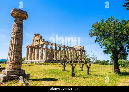 Il tempio greco in stile dorico di Atena - Area archeologica di ​​Paestum - Salerno, Italia Foto Stock