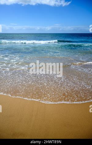 Bella spiaggia di sabbia a Sydney Foto Stock