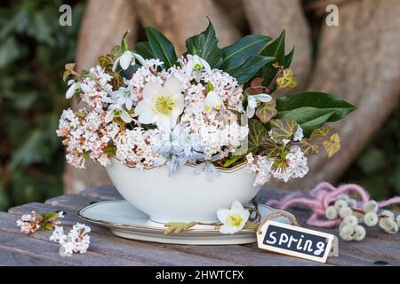 bouquet di fiori di viburnum, helleborus niger e gocce di neve in barca salsa d'epoca Foto Stock