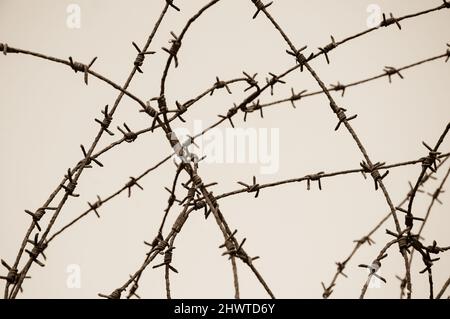 Filo spinato arrugginito contro il cielo blu. Concetti di guerra e carcere. Foto invecchiata. Foto storica di Seppia. Foto Stock