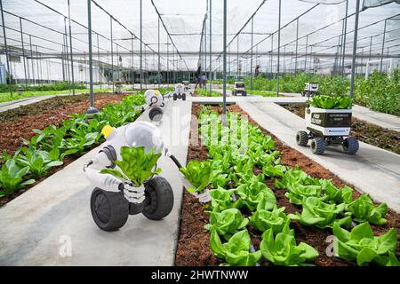 Agricoltura auto robotizzata e autonoma che lavora in azienda agricola intelligente, tecnologia del futuro 5G con concetto di agricoltura intelligente, resa 3D Foto Stock