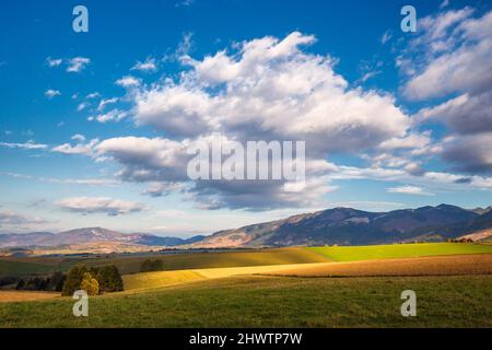 Paesaggio piemontese con prati alla luce del mattino in autunno, la zona di Liptov con i monti Tatra Occidentali, Slovacchia, Europa. Foto Stock