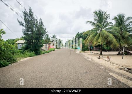 Tranquilla strada principale circondata da alberi tropicali attraverso il villaggio locale di Hopkins, Belize Foto Stock