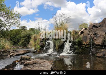 Una cascata, a basso volume d'acqua, alimenta ancora la foresta siliale. Le rocce sono visibili, e le cascate non sono massicce. Foto Stock