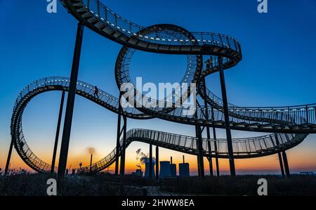 Landmark Angerpark Tiger & Turtle - Magic Mountain, scultura a forma di montagne russe sulla Heinrich-Hildebrand-Höhe slagheap, HKM Foto Stock