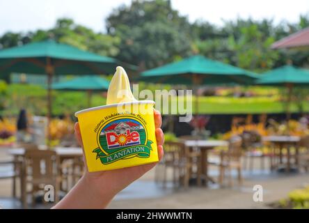 La storica piantagione di ananas di Dole plc nel villaggio di Wahiawa, Oahu HI Foto Stock