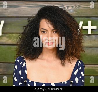 Los Angeles, Stati Uniti. 07th Mar 2022. LOS ANGELES, STATI UNITI. 07 marzo 2022: Kendall Keith alla prima per Apple TV 'The Last Days of Tolomy Grey' al Village Theatre di Westwood. Picture Credit: Paul Smith/Alamy Live News Foto Stock