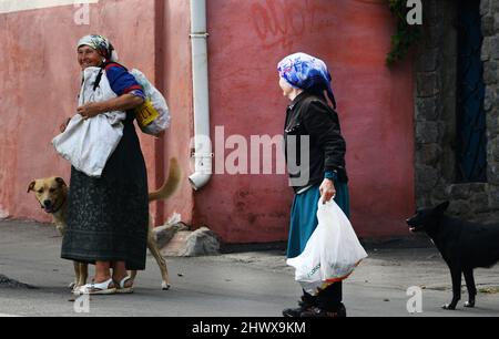 Donne ucraine anziane che godono di un momento di amore da cani carini in Uman, Ucraina. Foto Stock