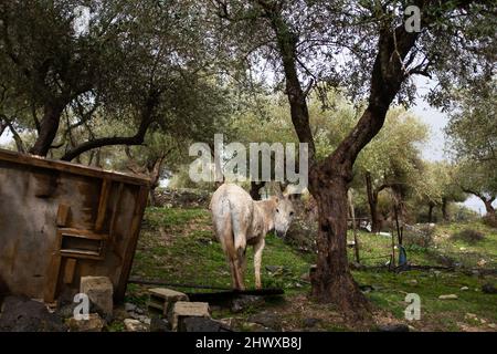 Paesaggio naturale in villaggio ecologico Foto Stock