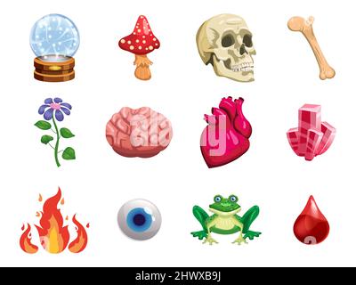 Witchcraft Set magico oggetto scull, cuore, cristallo, palla, occhio, trifoglio, fungo, cervello, rana. Stile cartoon illustrazione vettoriale Illustrazione Vettoriale