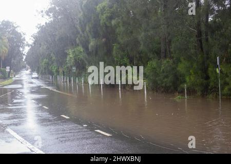 Il sistema a bassa pressione su Sydney porta un diluvio di pioggia e acque alluvionali in tutta la città con ordini di evacuazione emessi ad alcuni residenti, il traffico attraverso le acque alluvionali su Barrenjoey Road a Avalon sulle spiagge settentrionali di Sydney, credito Martin Berry @ alamy notizie dal vivo. Foto Stock