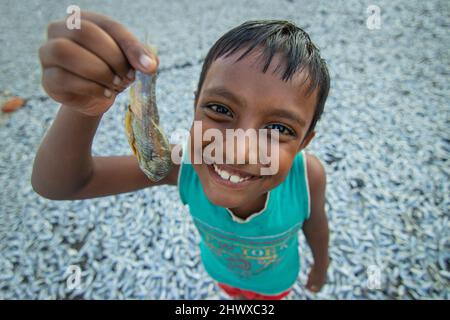 Brahmanbaria, Chittagong, Bangladesh. 8th Mar 2022. Un lavoratore minorile mostra un pesce ''Puti'' in un'area di lavorazione del pesce secco a Brahmanbaria, Bangladesh. Vi è un'elevata prevalenza di impiegare lavoro minorile nel settore della lavorazione del pesce secco, in quanto i bambini possono essere pagati meno. Ogni bambino raggiunge solo 200 BDT (circa 2 euro) al giorno dopo aver lavorato per 6-8 ore in un tratto. Migliaia di piccoli pesci, localmente chiamati 'puti', sono catturati in un fiume vicino. I lavoratori tagliarono e puliscono i pesci, aggiungevano sale e poi li asciugarono su una piattaforma di bambù al sole per quattro o cinque giorni. Dopo che i pesci sono propriamente Foto Stock