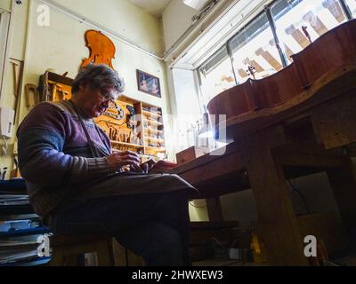 Carlos Roberts maestro liutaio violino creatore scegliere il ponte giusto per un nuovo violoncello della sua produzione presso la sua officina Foto Stock