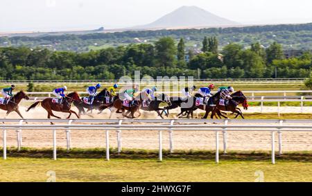 PYATIGORSK,RUSSIA - LUGLIO 5,2020:inizia la corsa di cavalli per il Premio di prova dell'ippodromo di Pyatigorsk. Foto Stock