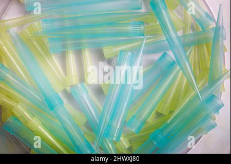 Raccolta di puntali per pipette multicolore Foto Stock