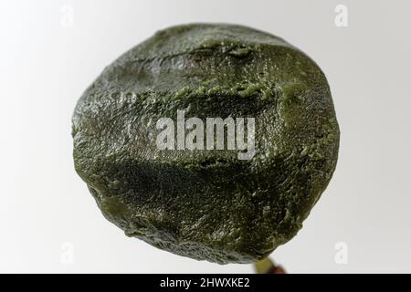 mugwort mochi su sfondo bianco Foto Stock