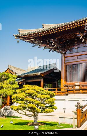 Vista dettagliata dell'antica architettura cinese in legno presso un tempio di Shanghai, Cina. Foto Stock