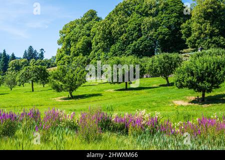 Vista generale del giardino di Hercules nei terreni del castello di Blair vicino al villaggio di Blair Atholl in Perthshire, Scozia, Regno Unito Foto Stock