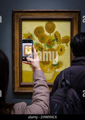 Vincent Van Gogh, girasoli, 1888, olio su tela, Galleria Nazionale, Londra, Inghilterra, Gran Bretagna Foto Stock