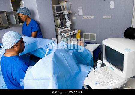 Le uova vengono raccolte da pazienti di sesso femminile durante l'intervento chirurgico, che viene effettuato sotto anestesia generale. Utilizzando una sonda ecografica inserita nel va Foto Stock